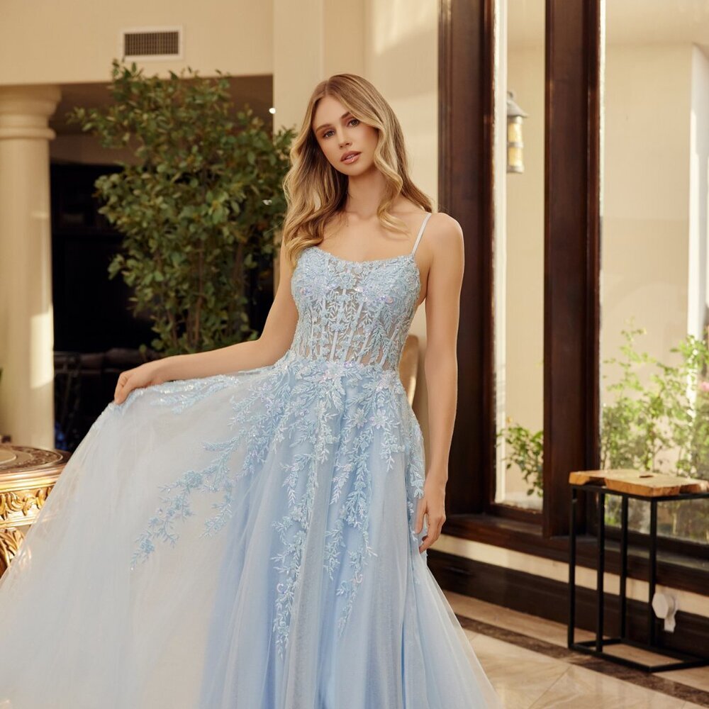 New Blue Romantic Floral Lace Embellished Prom Gown w/ Layered Skirt NX H1886